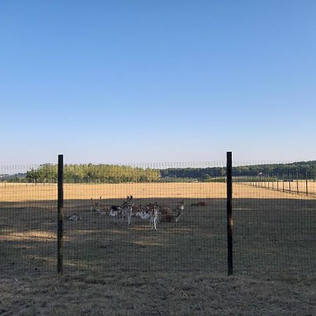 Lemen Huis Houwaart Tielt-Winge Екстер'єр фото